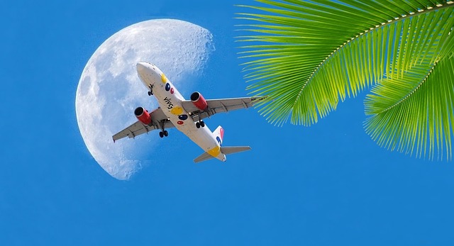letadlo, měsíc a palma
